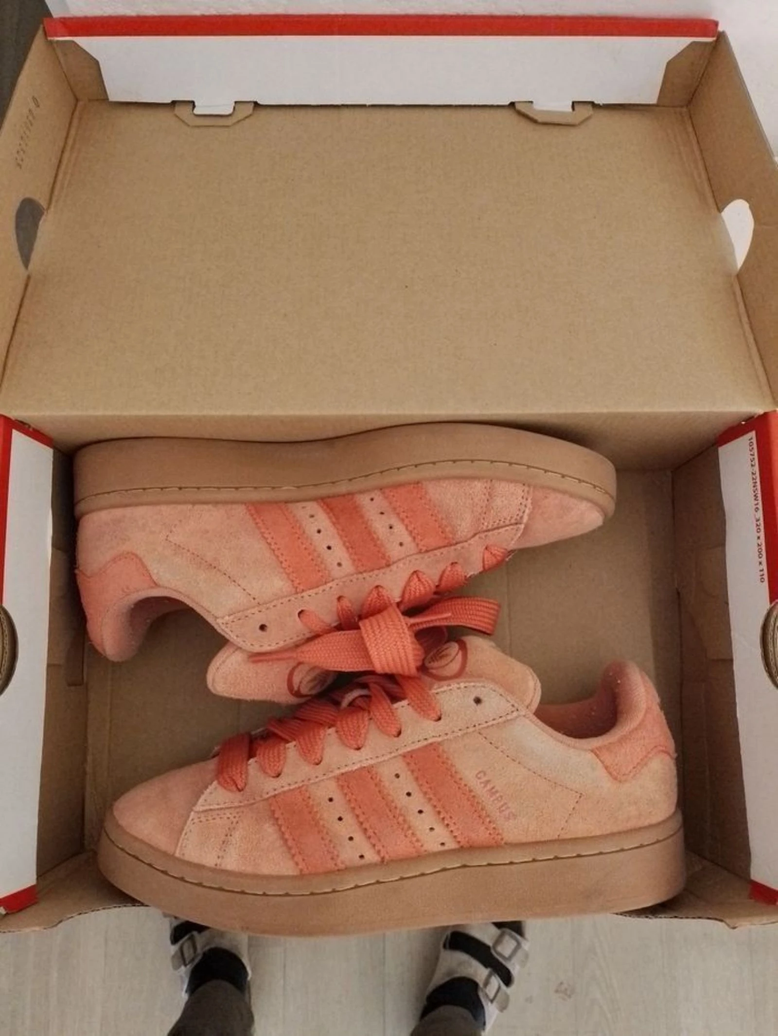 Adidas campus – photo 8